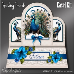 Ravishing Peacock Easel Kit