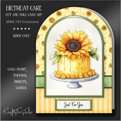 Birthday Cake Cut And Fold Card Kit-9