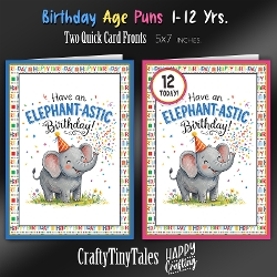 Birthday Age Puns Card Fronts Kit-12