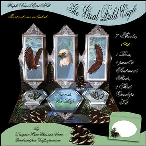 The Great Bald Eagle Easel Kit