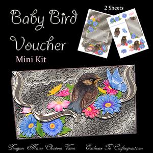 Baby Bird Voucher