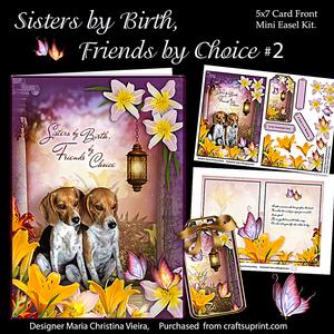 Sisters by Birth, Friends by Choice 2