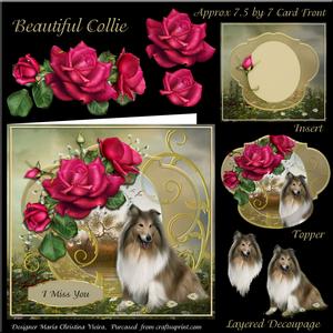 Beautiful Collie Card Front