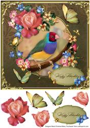 Gouldian Finch Birthday 8x8