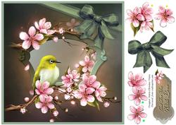 Cherry Blossoms for You 8x8