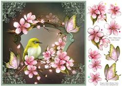 Cherry Blossoms 8x8 Card Front