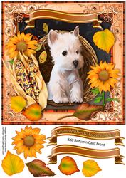 Autumn Wishes Happy Birthday 8x8 Cf