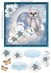Thinking of You Owl 7x7 Card Front