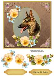 Vintage Dog Birthday 7x7 Cf.