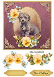 Vintage Dog Birthday 7x7 Rose Cf