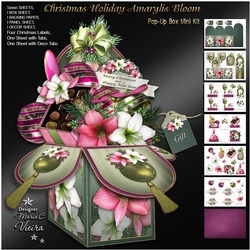 Christmas Holiday Amaryllis PopUp Box Kit