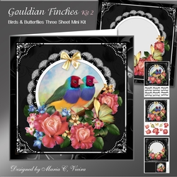 Gouldian Finch Card Front Kit Two