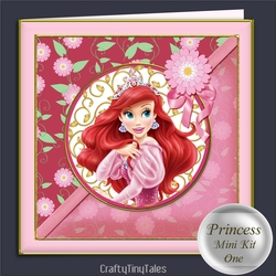 Princess Mini Kit One