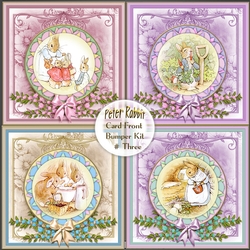 Peter Rabbit Card Front Bumper Kit 3
