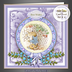 Peter Rabbit Card Front Kit 4