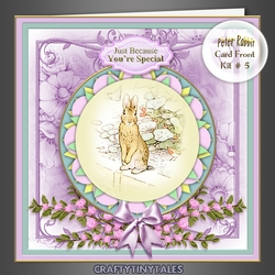 Peter Rabbit Card Front Kit 5