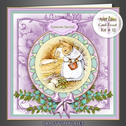 Peter Rabbit Card Front Kit 12