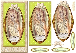 Peter Rabbit DL. Card Front 3