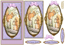 Peter Rabbit DL. Card Front 7