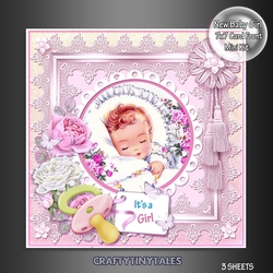 New Baby Girl Card Front Mini Kit 