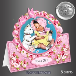 Babies R Precious Girl Tent Card Kit.3