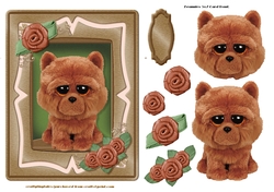 Beanie Series 5x7 Card Front 1 Set Two.