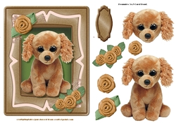 Beanie Series 5x7 Card Front 10 Set Two.