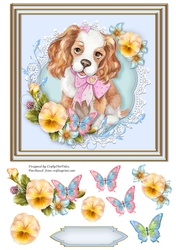 Special Days  Card Front.5
