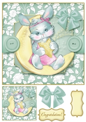 Baby Pets 8x8 Card Front 8