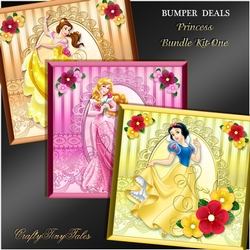 Princess Satin Card Front Bumper Kit.1