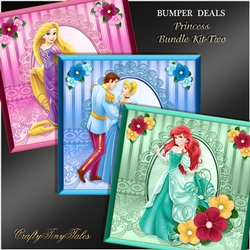 Princess Satin Card Front Bumper Kit.2