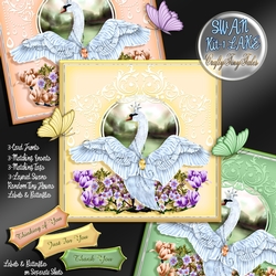 Swan Lake 3 Kit Card Front Bundle-1