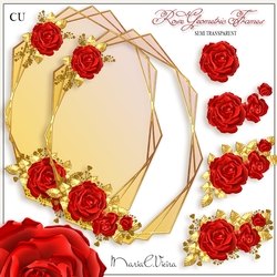 Rose Geometric Frame CU-Kit-1