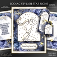 Zodiac Stylish Star Signs Scorpio