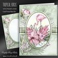 Tropical Birds Kit-3