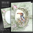 Tropical Birds Kit-4