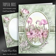 Tropical Birds Kit-6