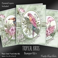Tropical Birds BUMPER Kit-1