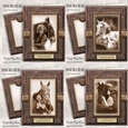 Vintage Horse And Girl BUMPER
