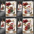 Christmas Guinea Pig BUNDLE