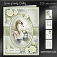 Swan Family 5x7 Mini Kit-4