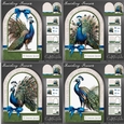 Ravishing Peacock BUNDLE