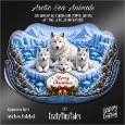 Arctic Sea Animals Rocker Card-K4