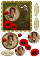 Red Poppies in Thought