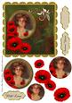 Red Poppies with Love