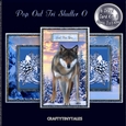 Pop Out Tri Shutter Card O Kit.3