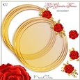 Rose Geometric Frame CU-Kit-4