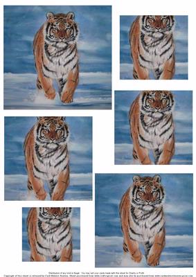 Tiger Running in Sea