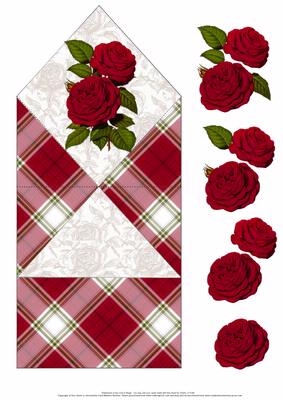 Deep Red Rose Spring Card