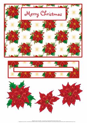 Poinsettia Slider Card